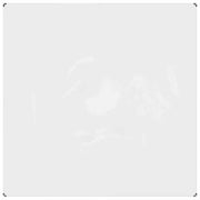 Copertura per Piante Trasparente 2 x 2 m PVC CFW1767659