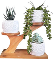Set di 3 Pianterre in Ceramica con Ciotole di Bambù - Pianterre Bianche Moderne