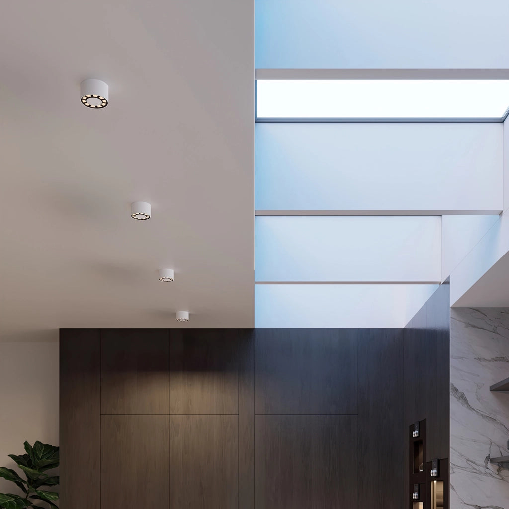 Lampada da soffitto DIO LED bianco