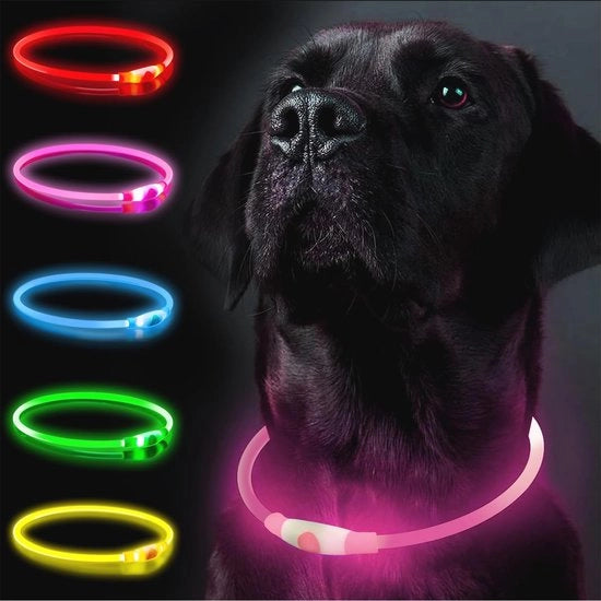 Collare per cani con illuminazione - Adattabile, ricaricabile, impermeabile con 3 modalità di illuminazione per tutti i cani