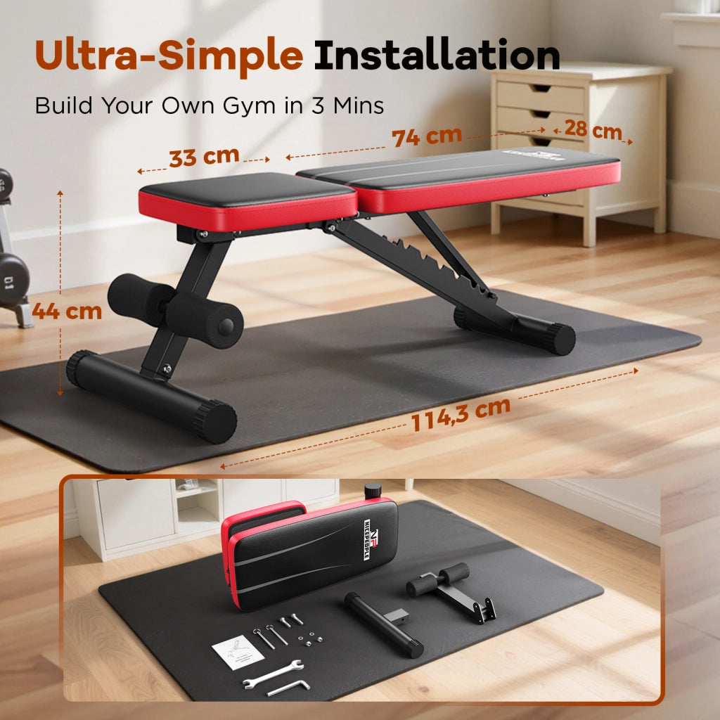 Panca Pesi Regolabile per Palestra Casa ¨C Xylo ¨C Grigio 120x50x110 cm