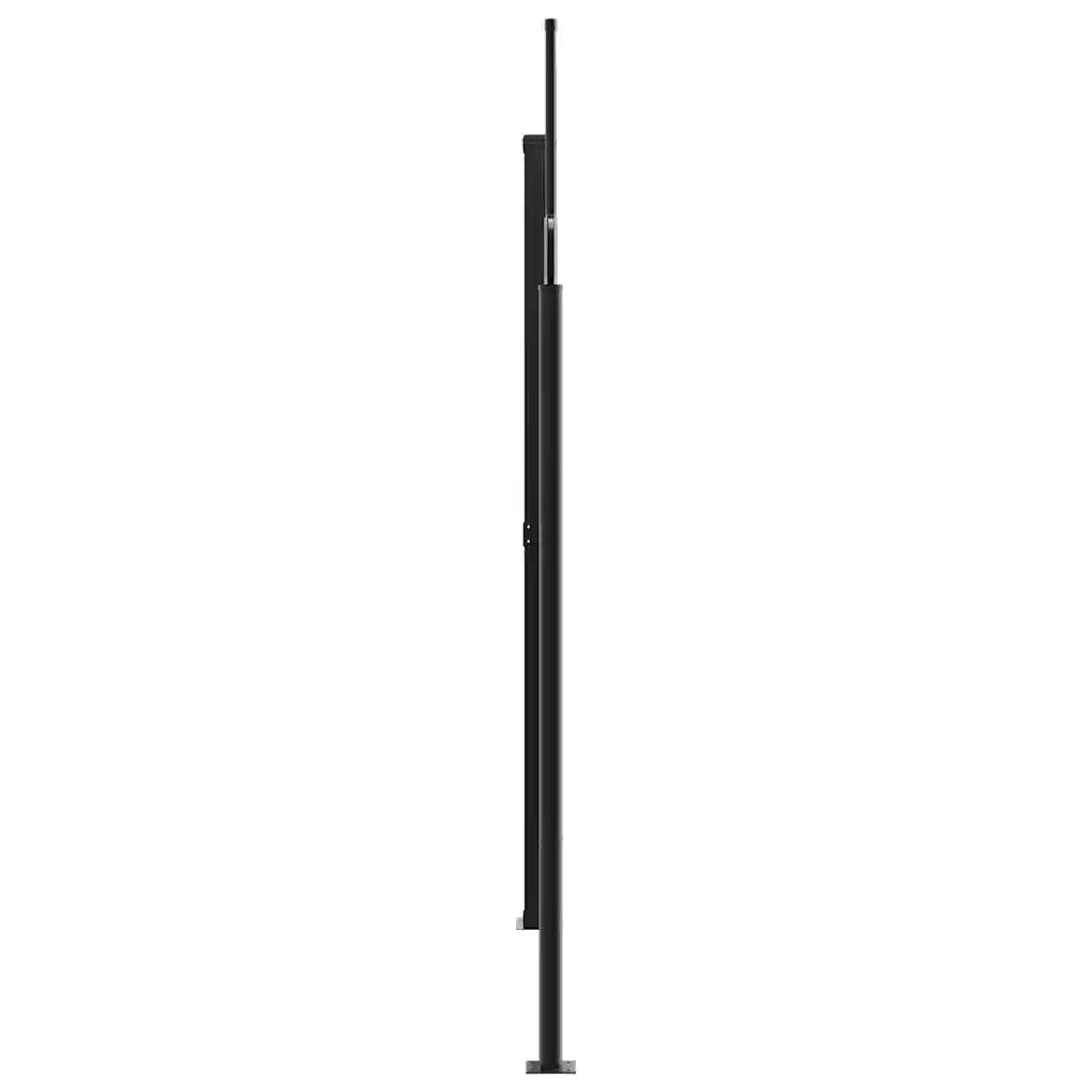Tenda da Sole Laterale Retrattile Antracite 200x1000 cm 4004763