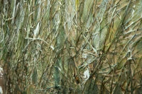 Dipinto Su Tela Mulino Cm 120X3.7X80