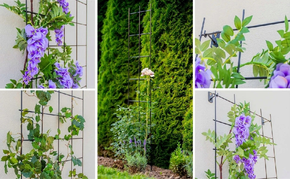 Traliccio da giardino in metallo KADAX per piante, fiori, scala per rampicanti, 35x120 cm, robusto