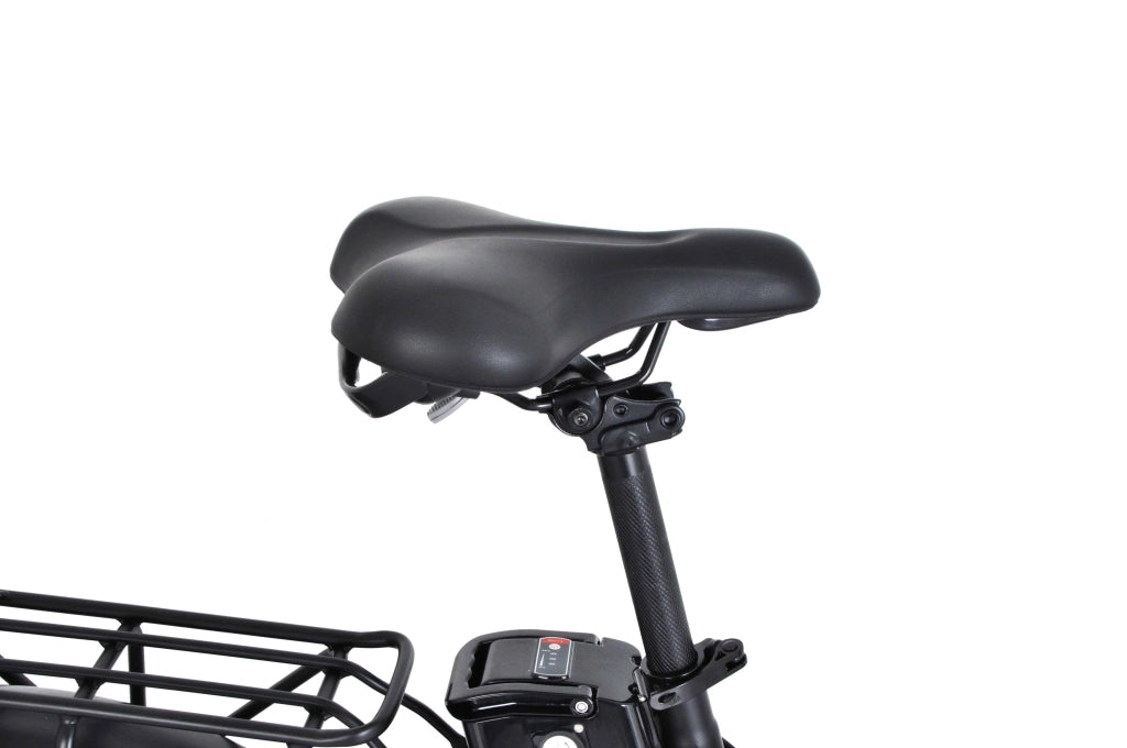 F.LLI SCHIANO  fat pieghevole 20" acciaio forcella ammortizzata  10.4 ah LCD Nera