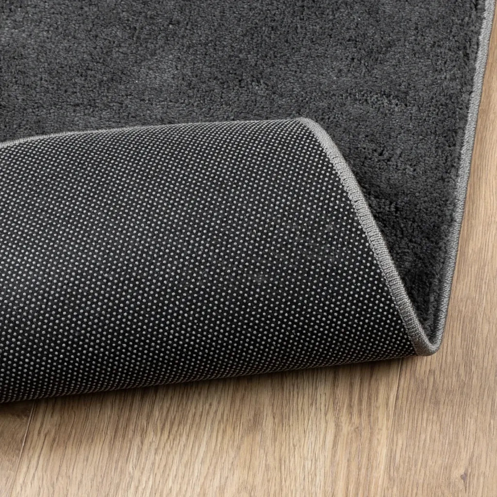 Tappeto del soggiorno | Tappeto OVIEDO a Pelo Corto Antracite 240x240 cm