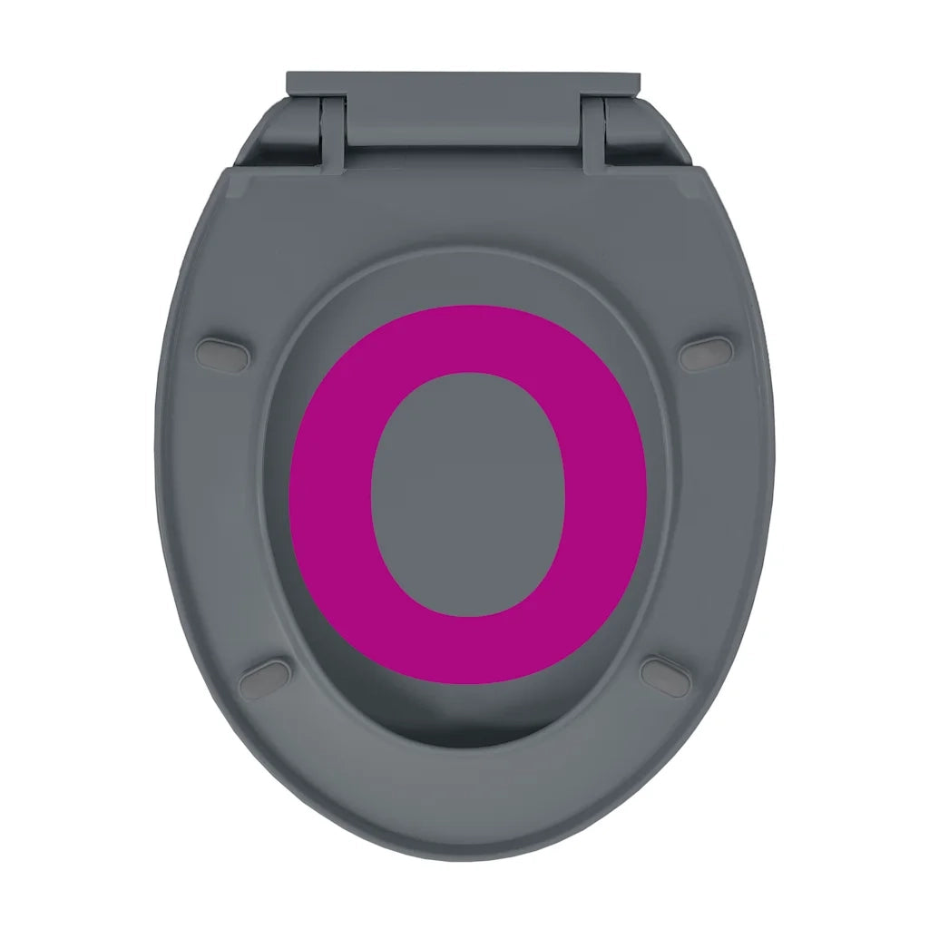Copriwater Chiusura Ammortizzata e Sgancio Rapido Grigio Ovale CFW3311238