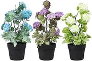 Piantine Artificiali in vaso nero Set 3 Pz In Scatola Trasparente Di Acetato King Home 