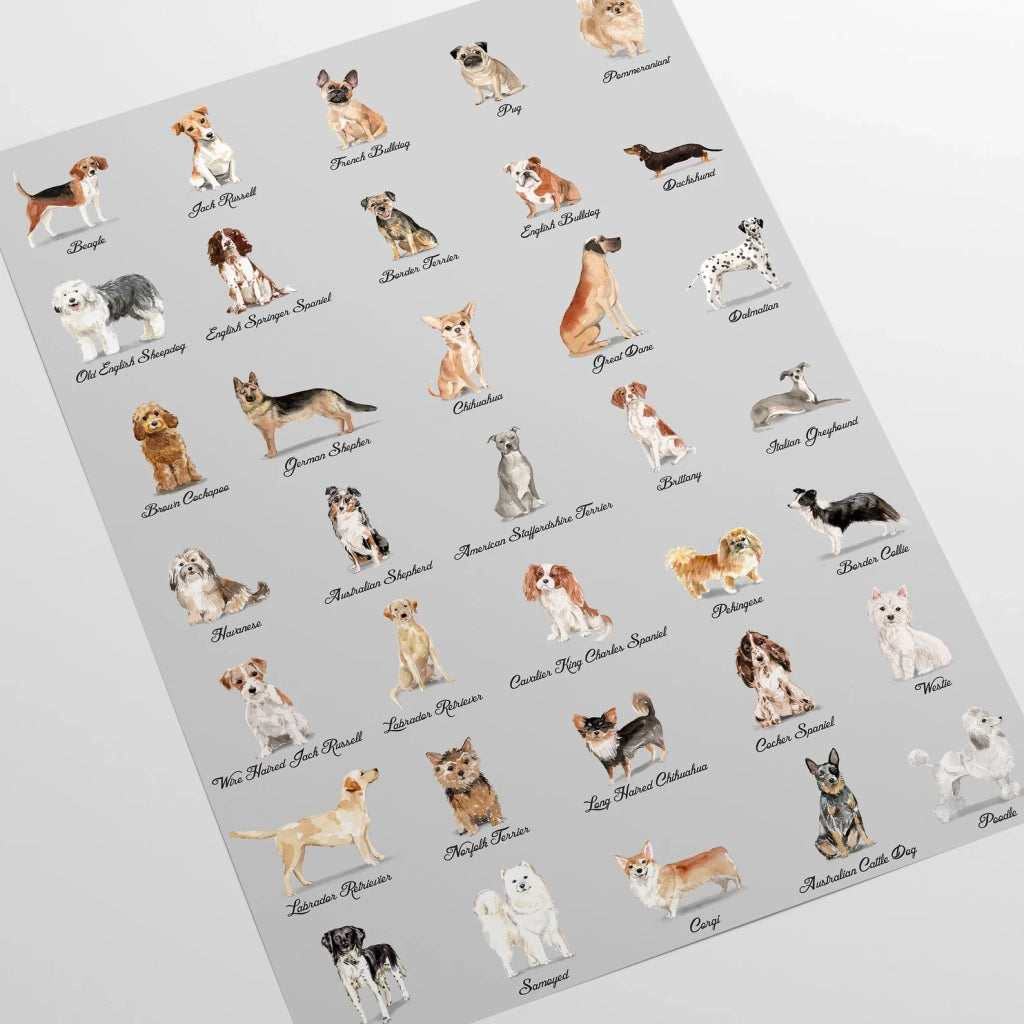 Carta da Parati Cani Sfondo Grigio Carta Vegana 250x200cm 5,5mq