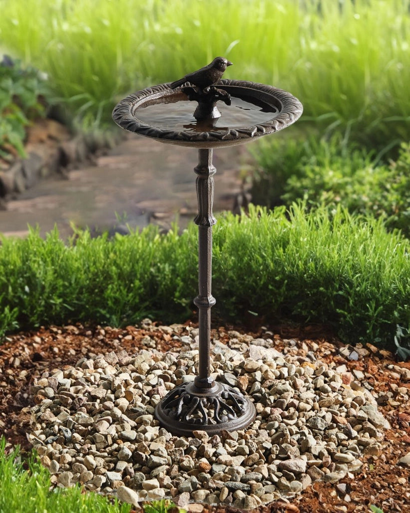 Fontana Uccelliera marrone Alimentatore d'acqua per uccelli in ferro per giardino Accento decorativo all'aperto