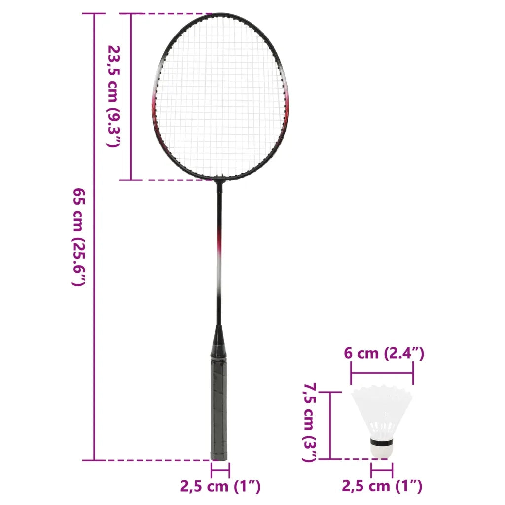 Set da Badminton con 2 Racchette, Rete e Custodia 292x30x152 cm 4016329