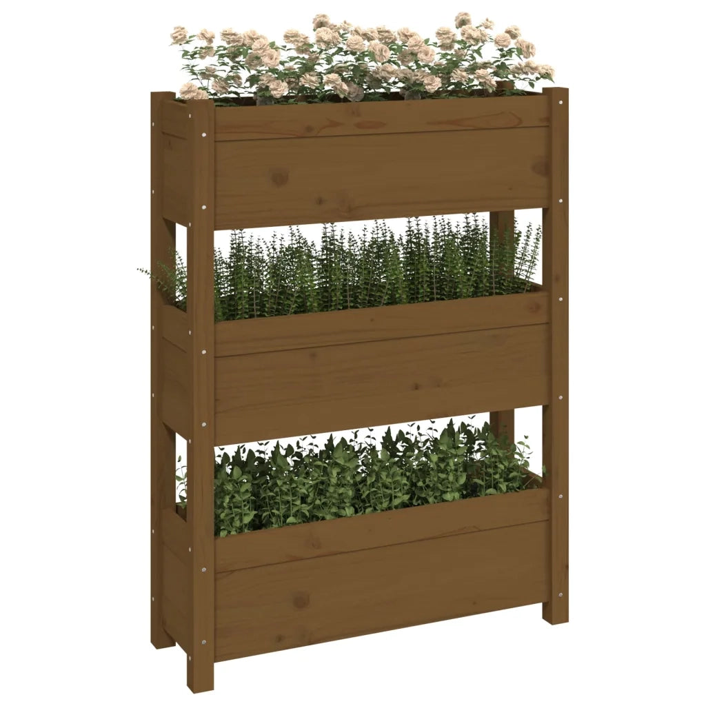 Fioriera Marrone Ambra 77x25x104,5 cm in Legno Massello di Pino