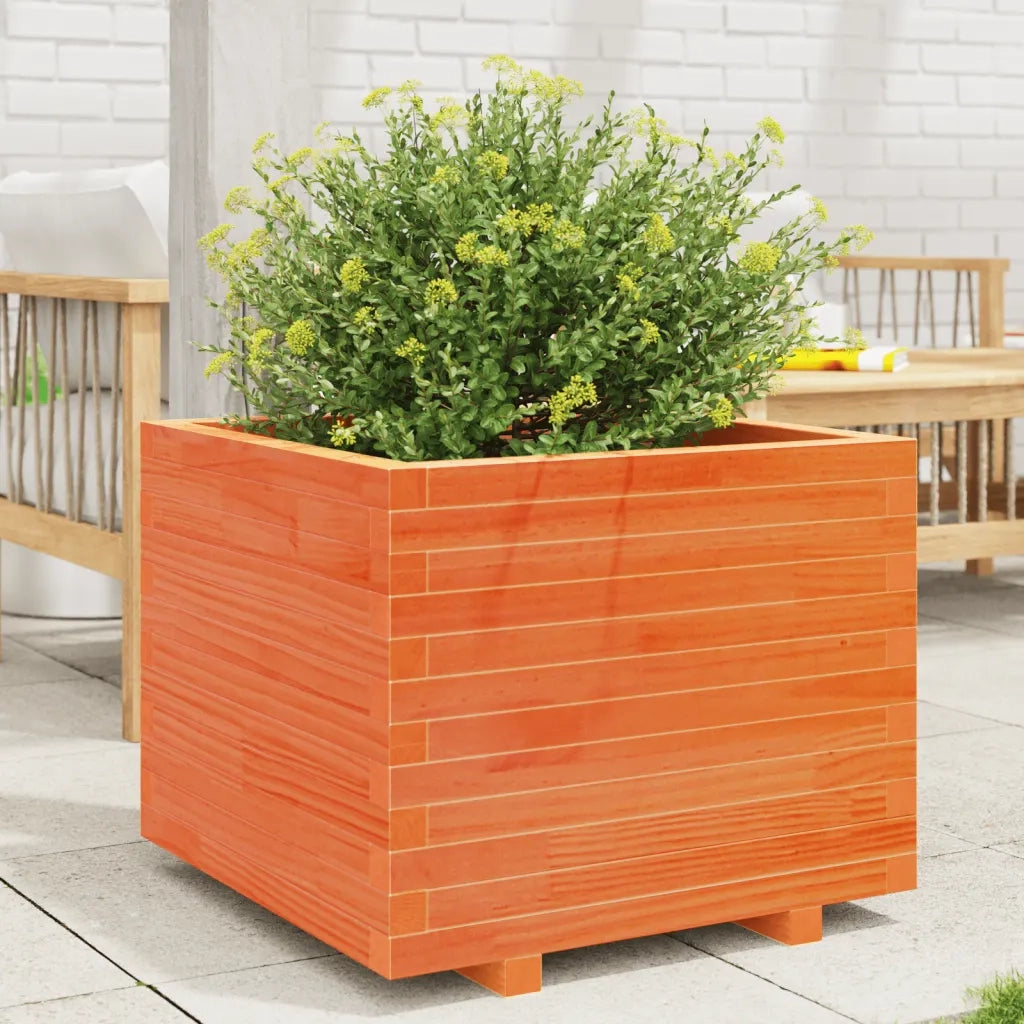 Fioriera Giardino-Vaso da Esterno-Contenitore per Piante Marrone Cera 60x60x49,5cm Legno Massello Pino