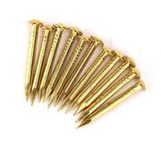 Nageli 100 pezzi - Testa rotonda - 22 mm/18 mm/15 mm/10 mm - Forte fissaggio - Materiale di alta qualità - Sostituzione perfetta - Spilli di fissaggio