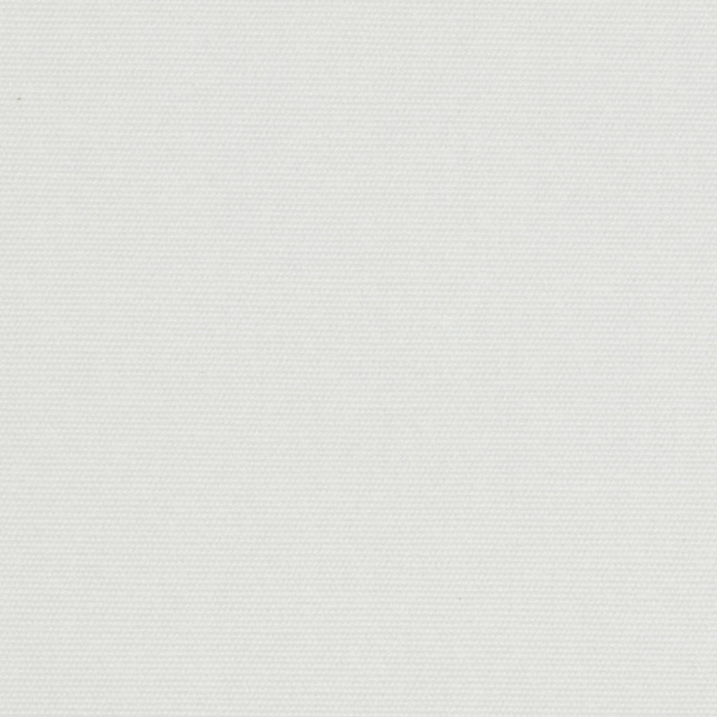 VIEWTEX Tenda a rullo Traslucida Chela Bianco 200 X 250cm - Made in Europe - 5 anni di Garanzia