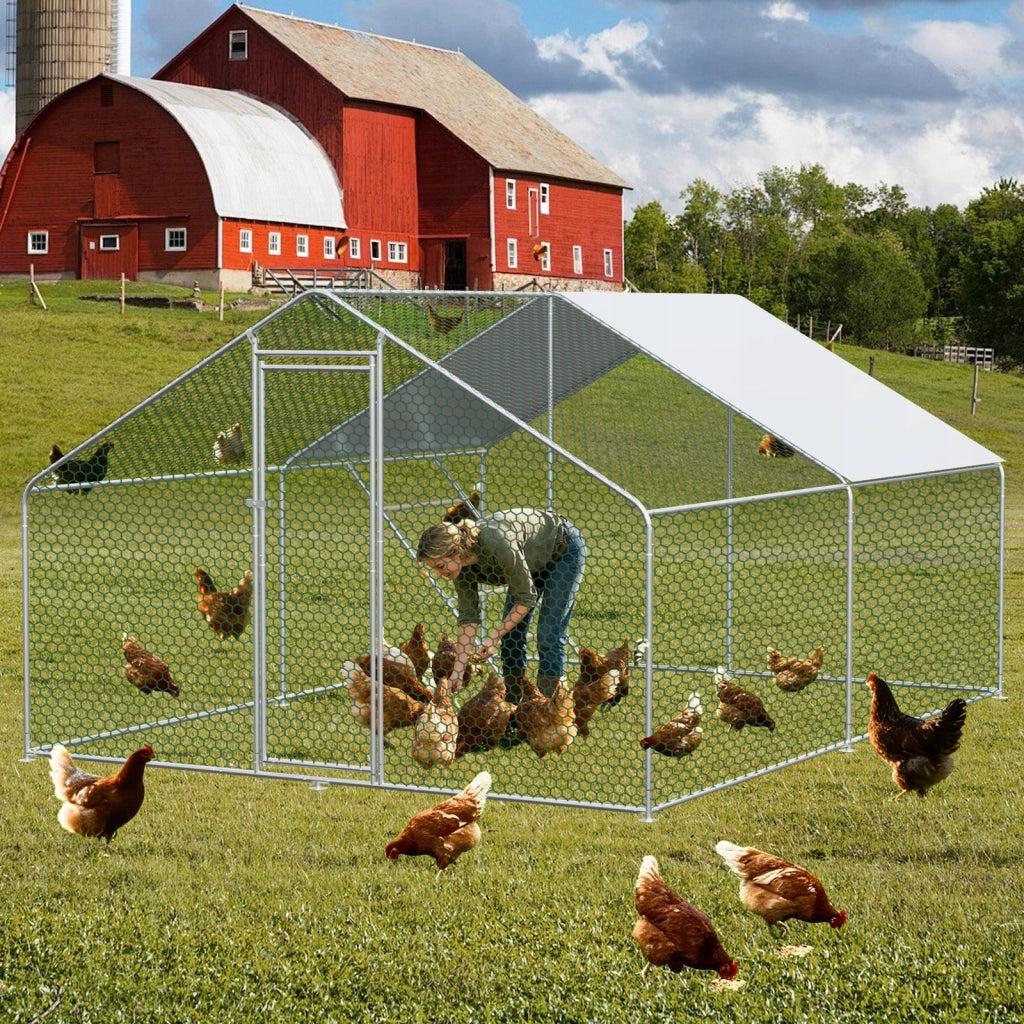 Recinto per Polli in Metallo 3×4×2 m con Telo PE Impermeabile; Porta con Serratura e Ampia Area Esterna per Animali