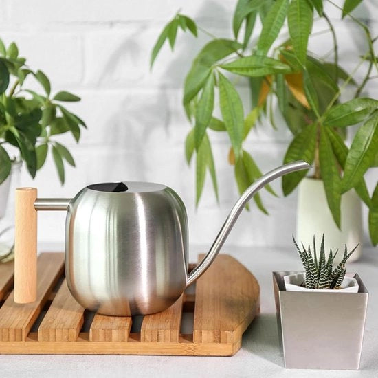 Giocatore da 12 litri in acciaio inossidabile per interni - maniglia di legno confortevole - lunga e sottile canna da infusione - piante da appartamento e piante grasso - zinco