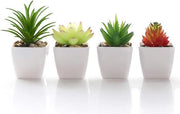 Pianta ornamentale miniatura vaso di ceramica bianco per interni casa famiglia giardino decorazione verde - Veryhome