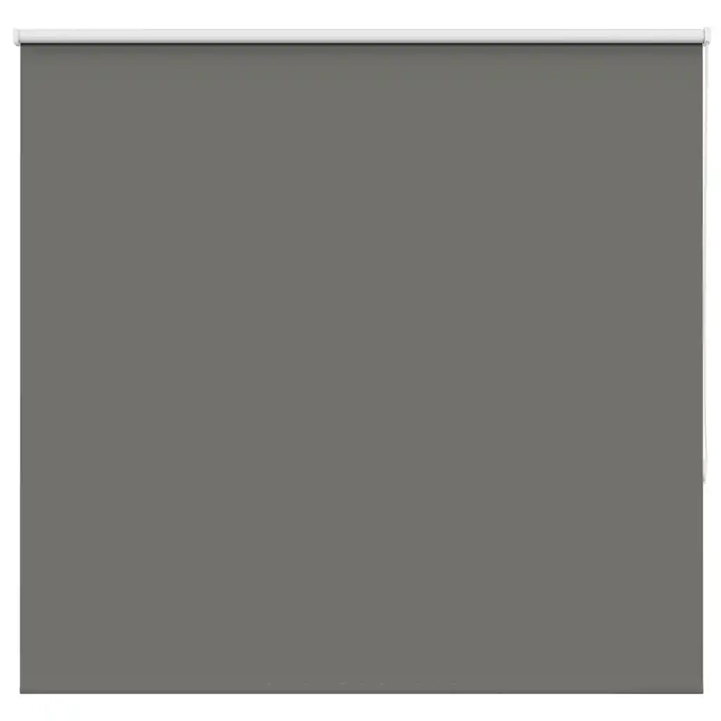 Tenda a Rullo Oscurante 155x130 cm Larghezza Tessuto 151,6 cm 4011113