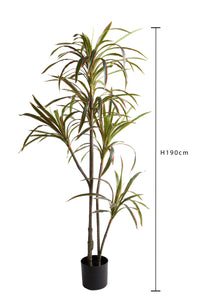 Pianta Artificiale Dracena Marginata con Vaso 190 cm