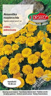 Tagetes che si allarga (basso) - Tagetes patula nana fl.pl. giallo 1 g