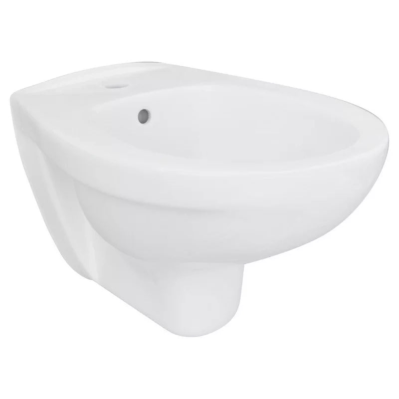Bidet sospeso felce in porcellana