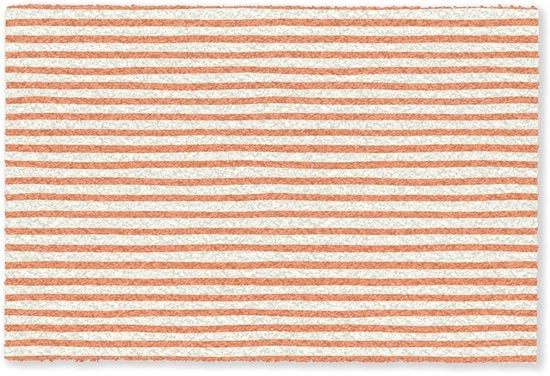 Tappeto di benvenuto 60x90 cm - Assorbente - Antiscivolo - Entrata - Disegno con animali - Design moderno - Finitura di alta qualità
