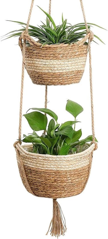Pannelli per piante di paglia di mare - Intreccio naturale - 2 pezzi - Paglia di mare - 2 misure