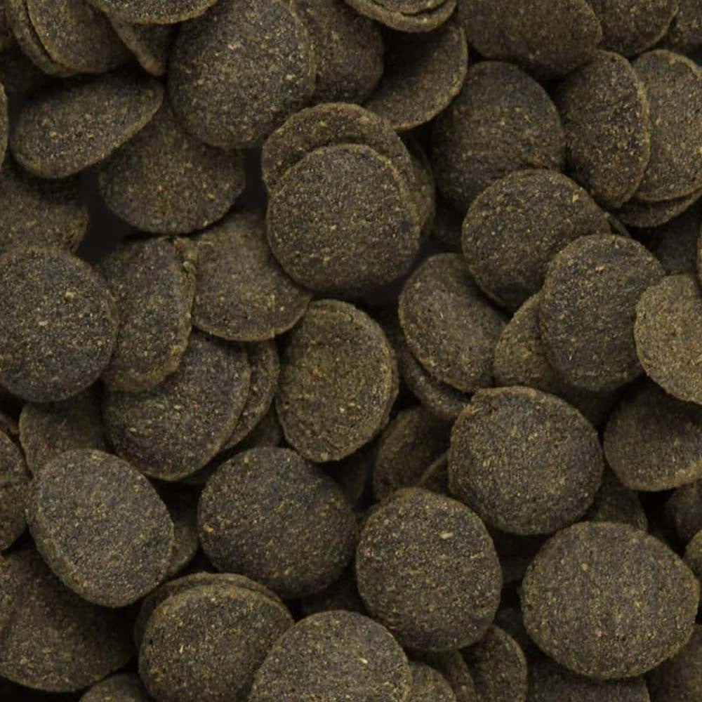 Hikari Tropical Mini Algae Wafers – mangime per Plecostomus e altri mangiatori di alghe Formato: 85 gr