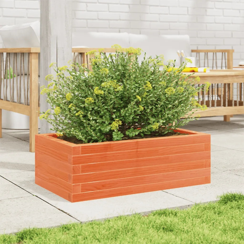 Fioriera | Cassetta per fiori | Vaso Giardino Marrone Cera 70x40x23cm Legno Massello Pino