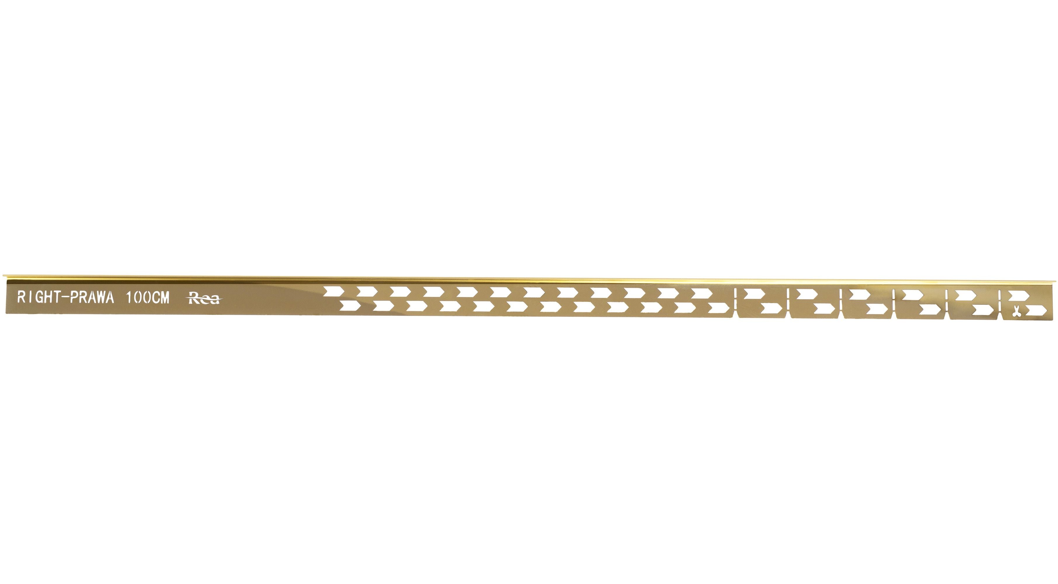 Profilo Doccia Pendenzato 100cm Gold sinistra