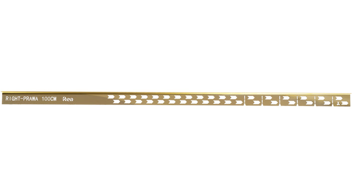 Profilo Doccia Pendenzato 100cm Gold sinistra
