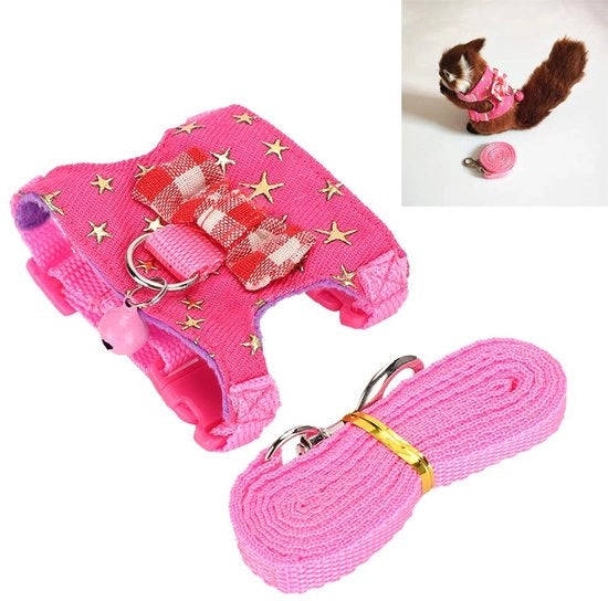 Cinturino Adattabile per Animali da Compagnia - Set Cinturino/Riem - Adatto per Piccoli Animali da Compagnia - Tela Denim - Taglia M - Comodo e Sicuro - Cinturino per Cani