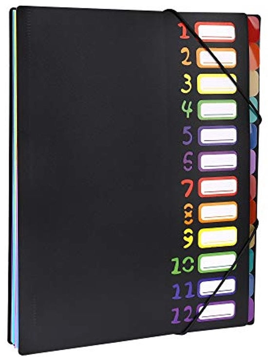 Espansione della cartella 12 tasche Organizzatore di documenti a cerniera per ufficio domestico Utilizzo scolastico Dimensione A4 Formato di carta