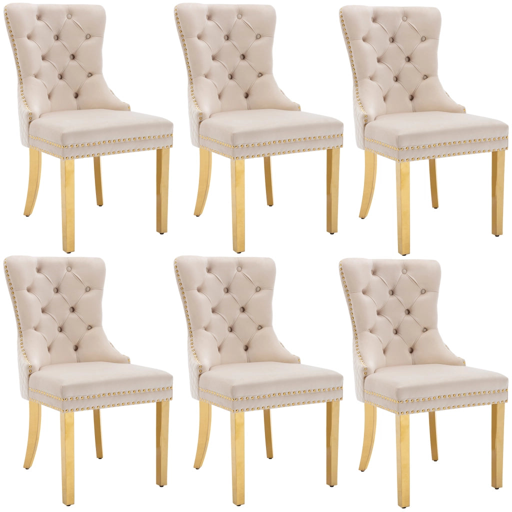 Set di 6 Sedie da Pranzo; con Anello sullo Schienale e Borchie Decorative; Velluto; Beige