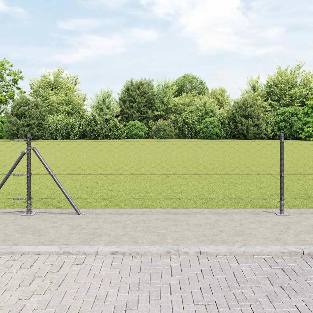 Palo della recinzione Grigio 100 x 0,6 m (rete da 50 mm)