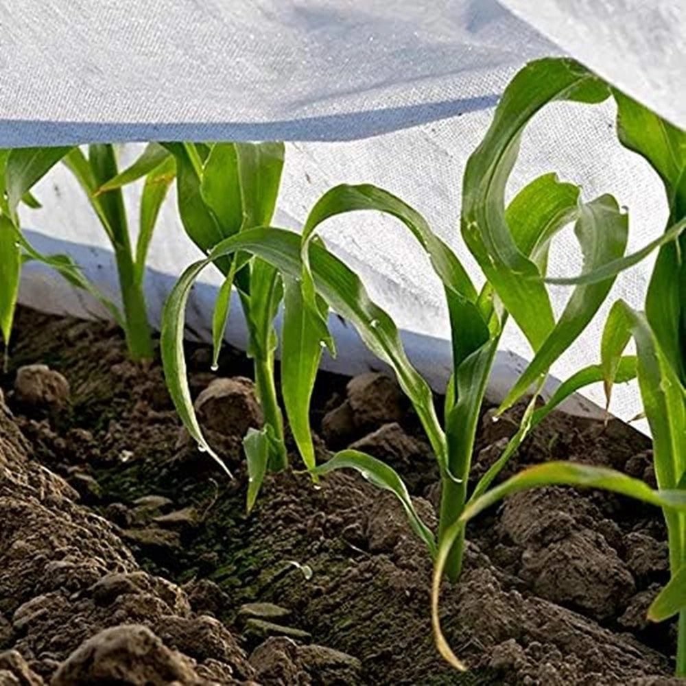 Trade Shop - Set 3pz Rotoli Telo Protettivo Tessuto Protezione Delle Colture Raccolti 1.5x10mt 134059 -