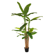 Pianta artificiale gigante ‚Äì Banano H285 cm con vaso