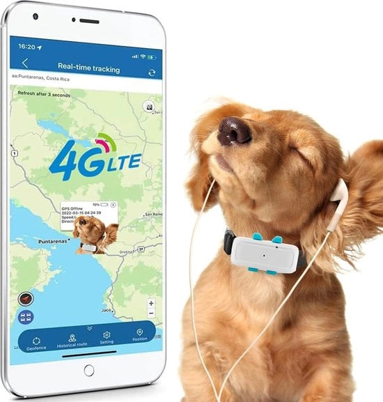Trasmettitore GPS per Animali di Compagnia - Trasmettitore GPS per Gatti - Trasmettitore GPS per Animali di Casa - Trasmettitore GPS per Gatti - Trasmettitore GPS per Animali di Casa