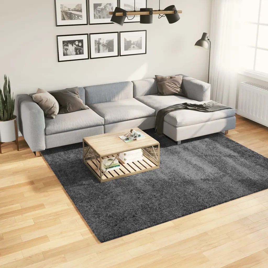 Tappeto del soggiorno | Tappeto OVIEDO a Pelo Corto Antracite 240x240 cm