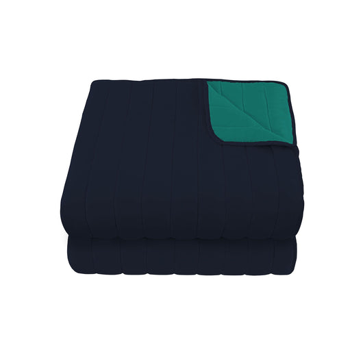 Trapuntino Doubleface Singolo 100gr Acqua/Blu Scuro