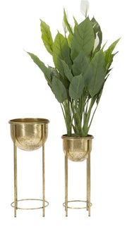Porta Fiori Glam Coppia Ø27x62-21,5x52 cm in Ferro Oro