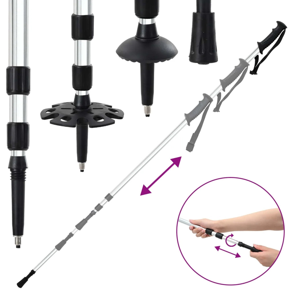 Racchette da neve 3 in 1 con bastoni da trekking Argento e Nero CFW6229025