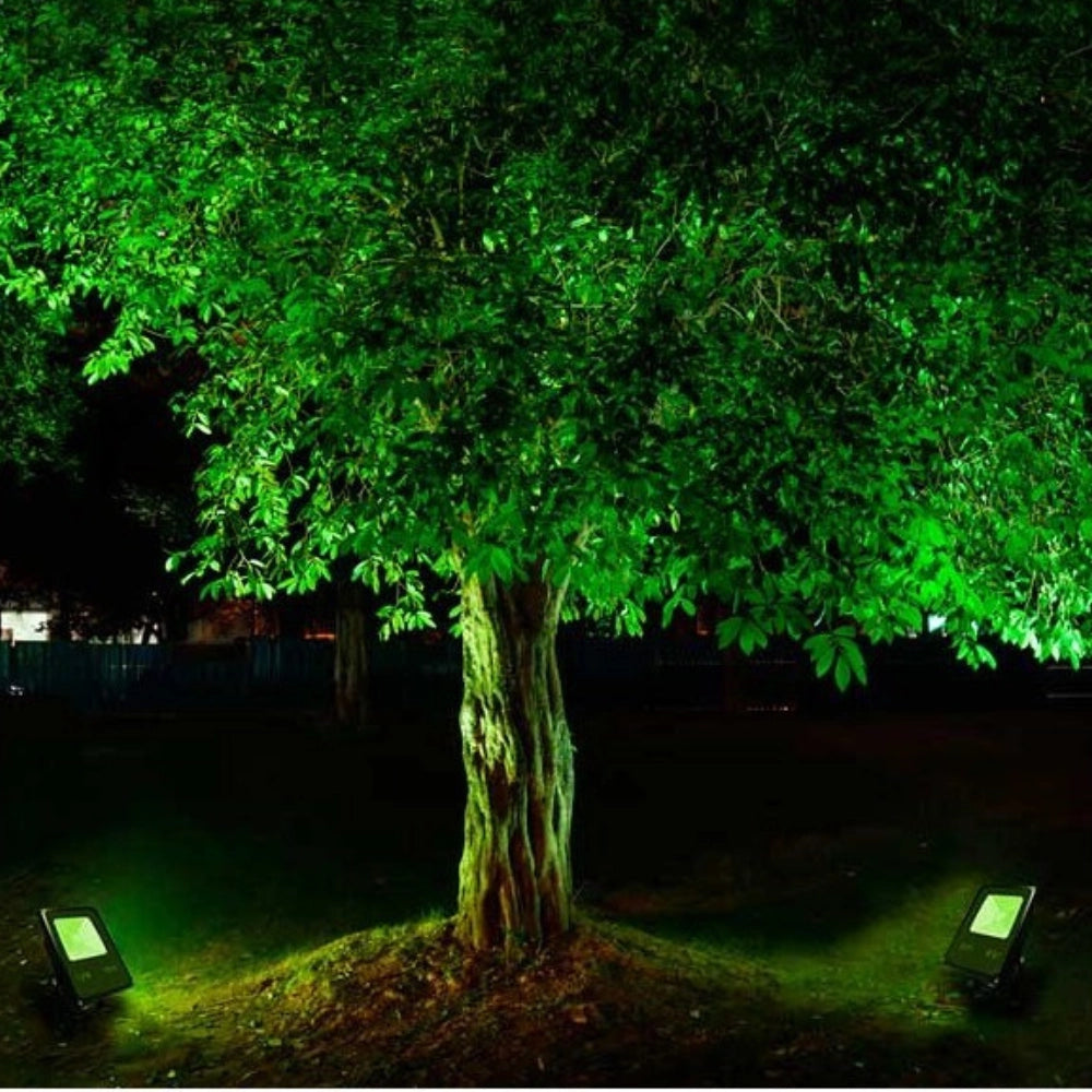 Proiettore led luce verde potenza 10 watt alluminio colore nero ip65 800 lumen