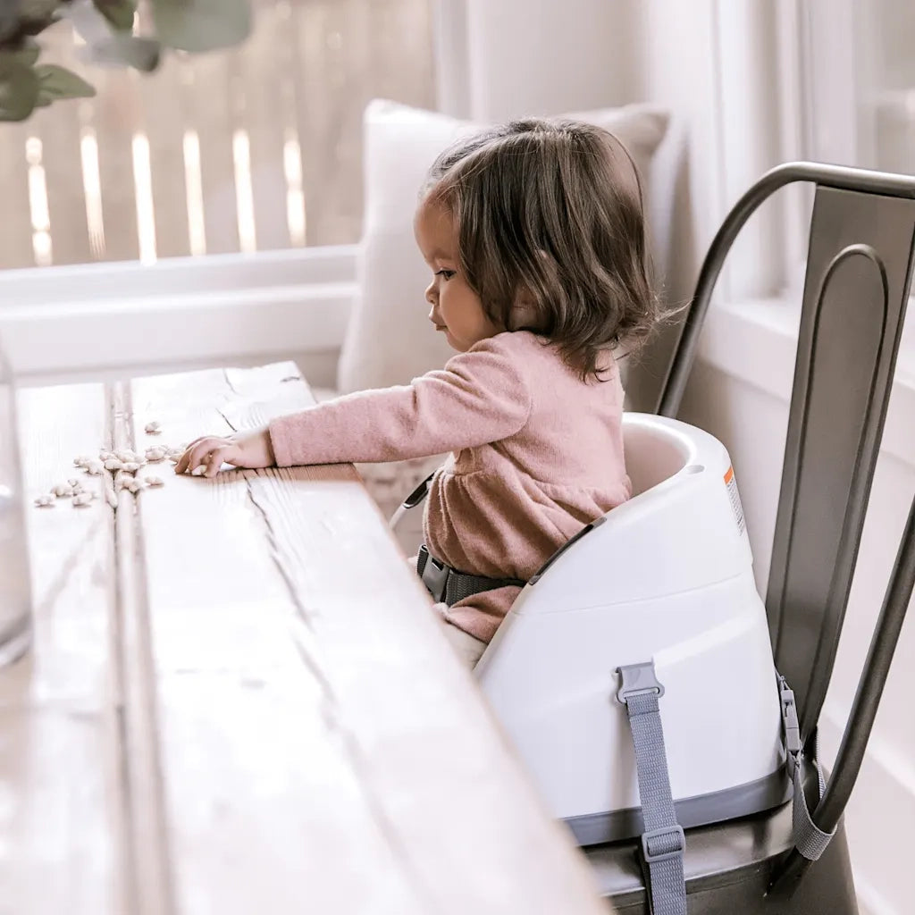 Ingenuity Rialzo Sedia Bambini 2-in-1 Baby Base Ardesia 438923