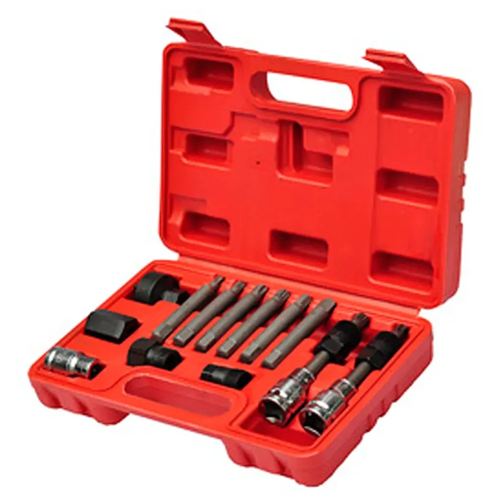 Kit di Attrezzi per Alternatore Auto 210031