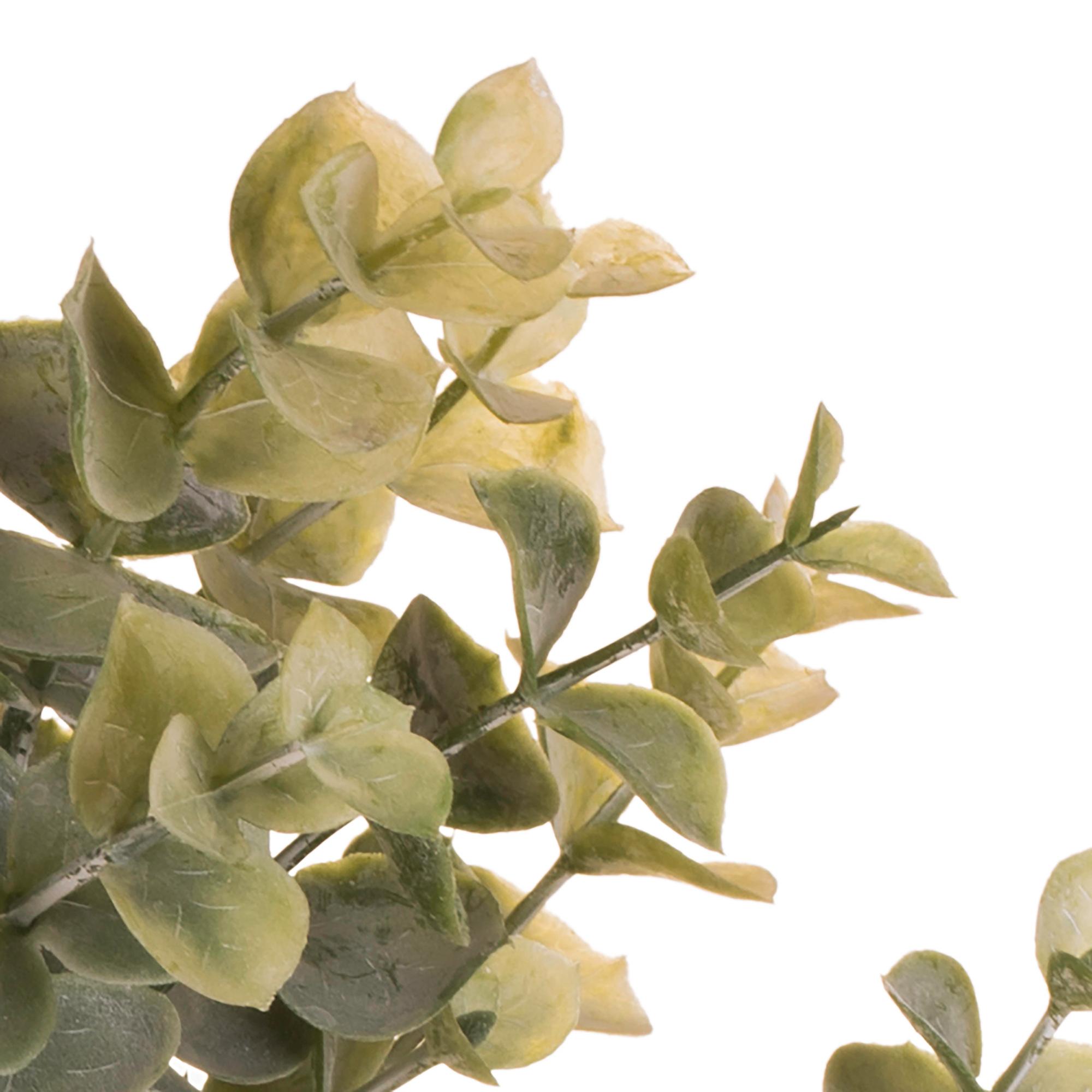 Set 4 Mini Eucaliptus Artificiali Altezza 41 cm Verde