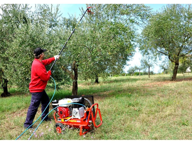Kit raccolta olive per 2 operatori Lisam Hobby con motocompressore Honda 2 abbacchiatori