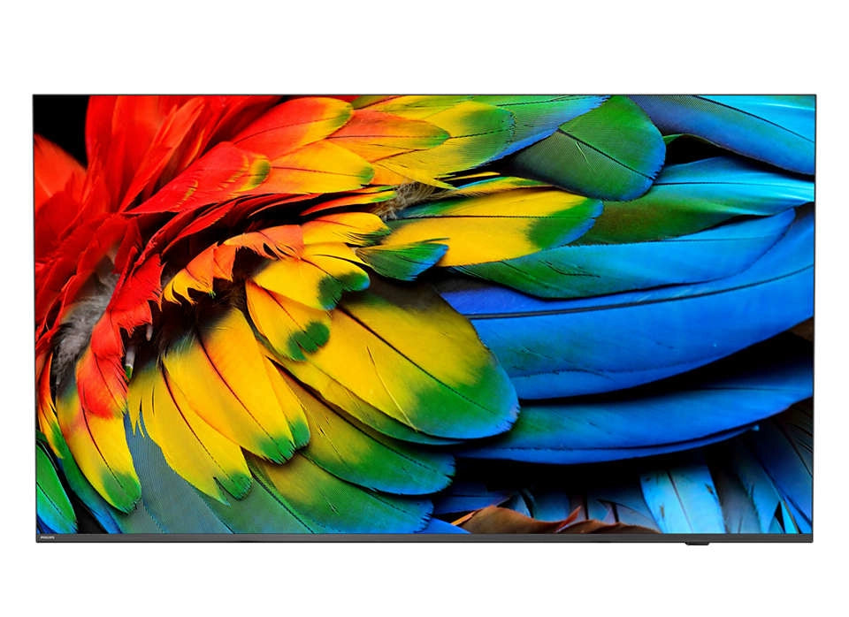 Philips 50hfl6214u 127 cm (50") 4k ultra hd smart tv wi-fi antracite 400 cd/m² display arrotolabile - 50HFL6214U/12
