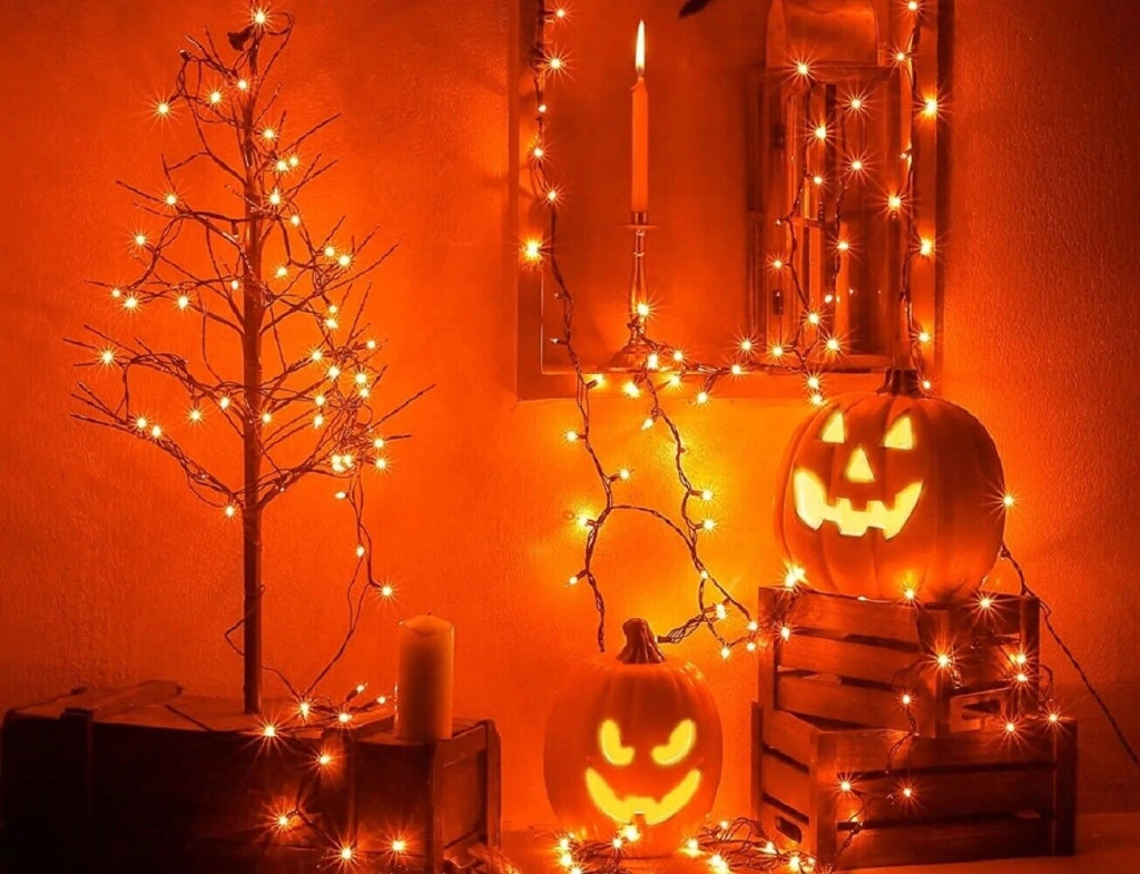 Catena luminosa 100 LED luce arancione a batteria da esterno per halloween 10 mt